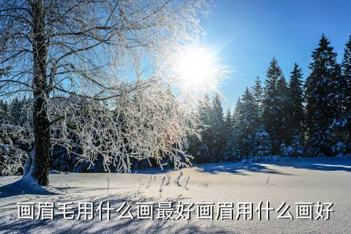 bonisha染眉膏怎么样,韩国哪些品牌染眉膏好看?一起来看看
