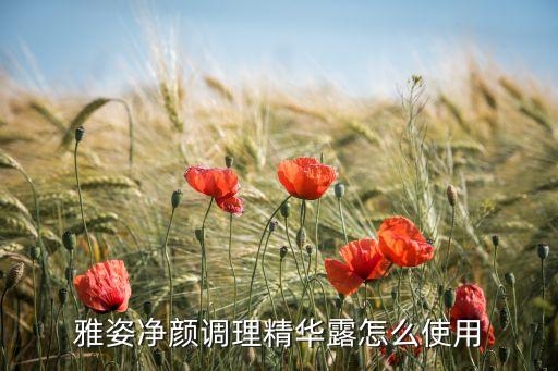 雅姿净颜调理精华露怎么使用