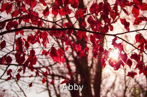 Abby