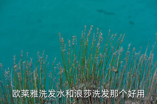 欧莱雅洗发水和浪莎洗发那个好用