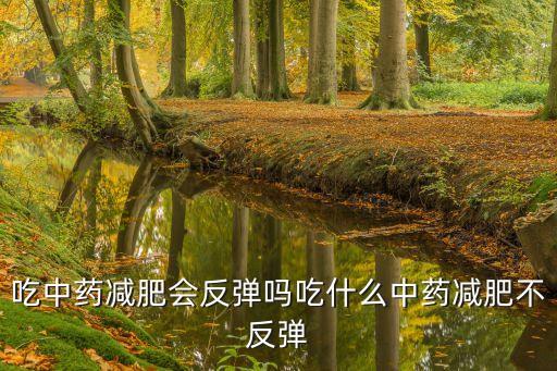 吃中药减肥会反弹吗吃什么中药减肥不反弹