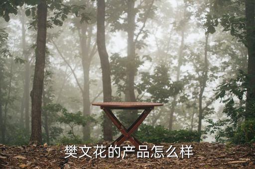  樊文花的产品怎么样