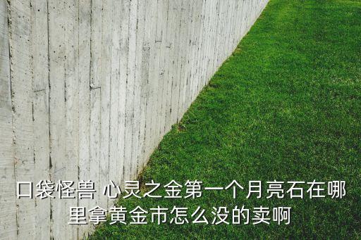 口袋怪兽 心灵之金第一个月亮石在哪里拿黄金市怎么没的卖啊