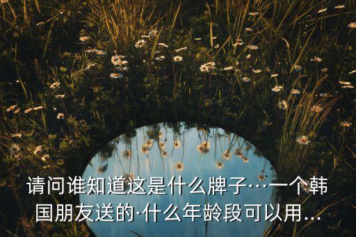 请问谁知道这是什么牌子···一个韩国朋友送的·什么年龄段可以用...