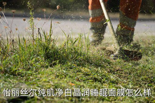 怡丽丝尔纯肌净白晶润睡眠面膜怎么样