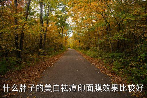 什么牌子的美白祛痘印面膜效果比较好