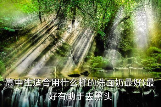 高中生适合用什么样的洗面奶最好(最好有助于去黑头