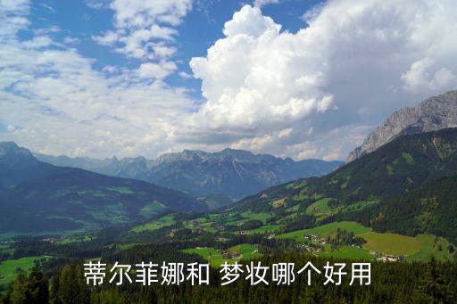 蒂尔菲娜和 梦妆哪个好用