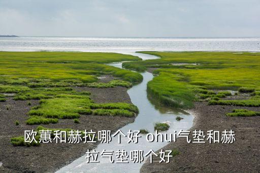 欧蕙和赫拉哪个好 ohui气垫和赫拉气垫哪个好