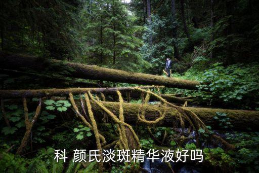 科颜氏抗衰老怎么样