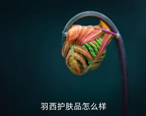  羽西护肤品怎么样