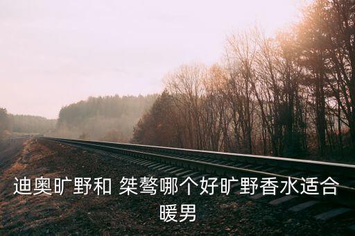 迪奥旷野和 桀骜哪个好旷野香水适合暖男