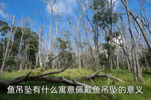 手链带金鱼有什么喻意,带鱼的红绳是什么意思？