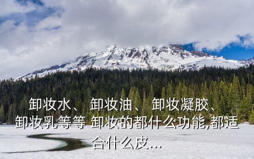 卸妆水、 卸妆油、 卸妆凝胶、 卸妆乳等等 卸妆的都什么功能,都适合什么皮...