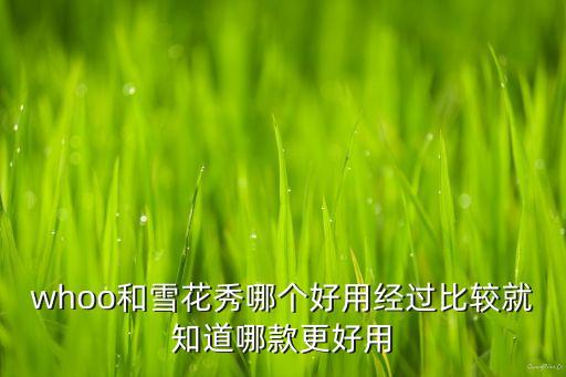 whoo和雪花秀哪个好用经过比较就知道哪款更好用