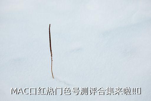 MAC口红热门色号测评合集来啦‼️