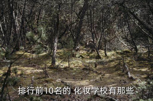排行前10名的 化妆学校有那些