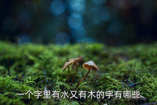 一个字里有水又有木的字有哪些