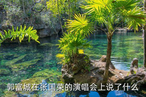 郭富城在张国荣的演唱会上说了什么