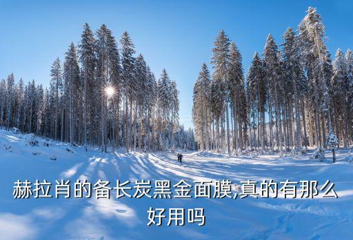 赫拉肖的备长炭黑金面膜,真的有那么好用吗