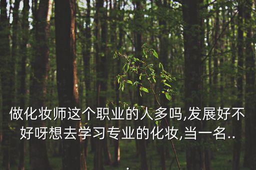 做化妆师这个职业的人多吗,发展好不好呀想去学习专业的化妆,当一名...