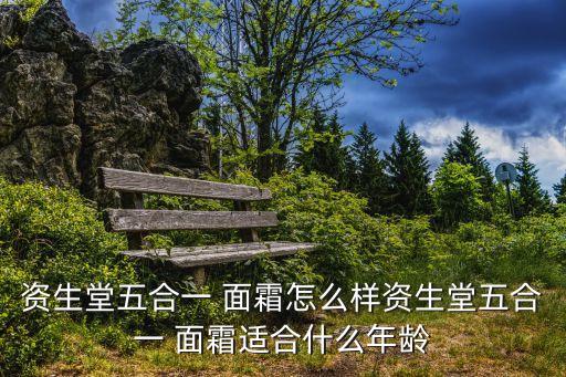 什么是懒人面霜,资生堂懒人五合一面霜