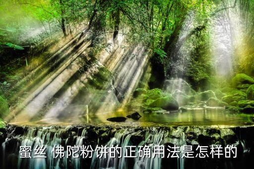 蜜丝佛陀粉底刷怎么使用