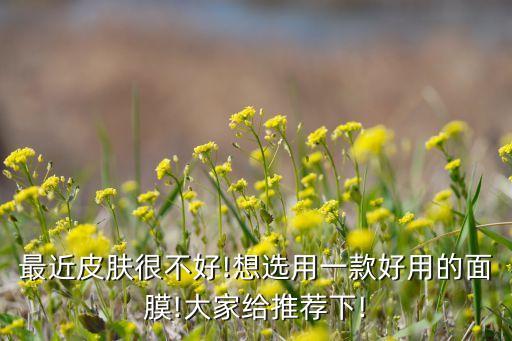 最近皮肤很不好!想选用一款好用的面膜!大家给推荐下!