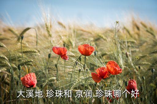 大溪地 珍珠和 京润 珍珠哪个好
