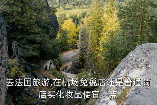 去法国旅游,在机场免税店还是普通商店买化妆品便宜一点