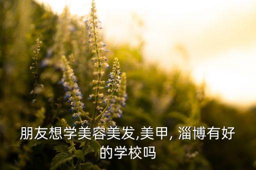 朋友想学美容美发,美甲, 淄博有好的学校吗