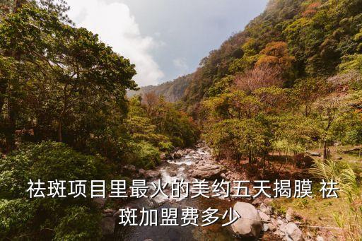 韩式祛斑怎么加盟多少钱,她与白祛斑怎么加盟