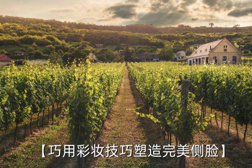 【巧用彩妆技巧塑造完美侧脸】