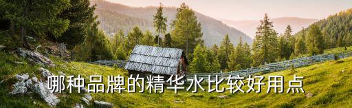 哪种品牌的精华水比较好用点