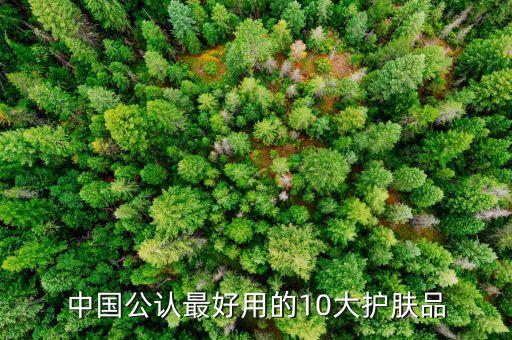 中国公认最好用的10大护肤品