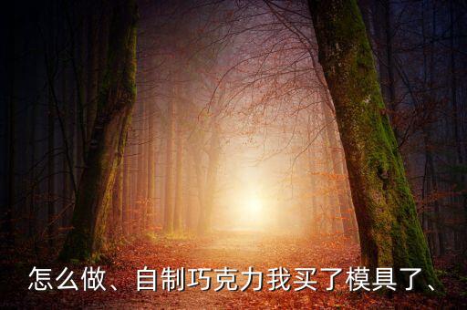 哪里可以买到可可油