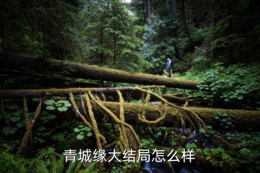 青城缘大结局怎么样