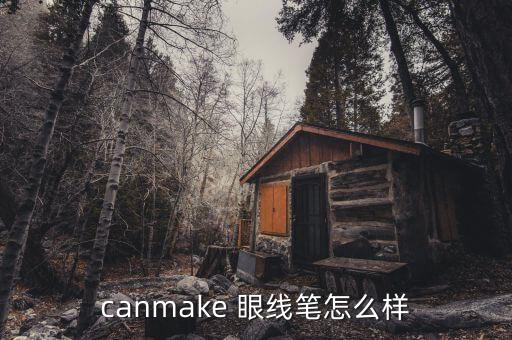 canmake 眼线笔怎么样