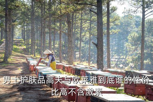 男士护肤品高夫与欧莱雅到底谁的性价比高不含激素