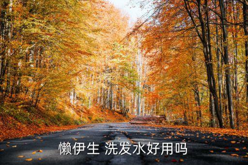 懒伊生 洗发水好用吗