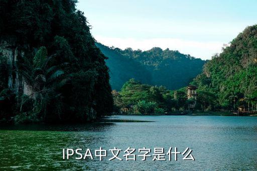 IPSA中文名字是什么