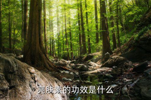 什么护肤品用了亮肤,护肤品是美白的吗？