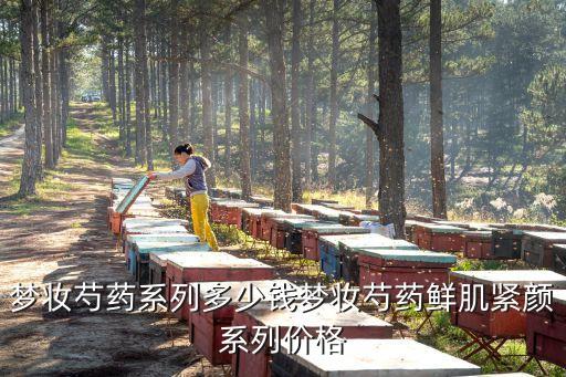 梦妆芍药系列多少钱梦妆芍药鲜肌紧颜系列价格