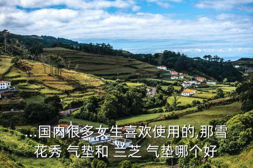...国内很多女生喜欢使用的,那雪花秀 气垫和 兰芝 气垫哪个好