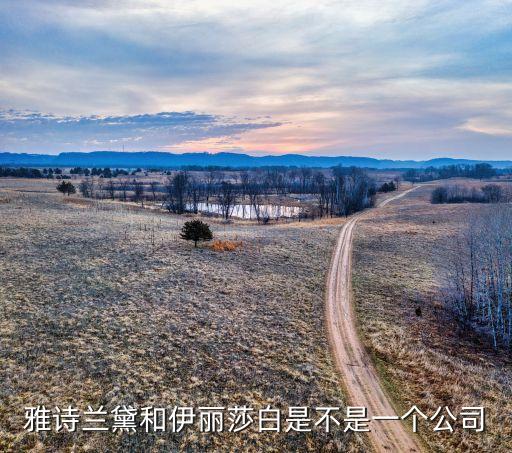 雅诗兰黛和伊丽莎白是不是一个公司