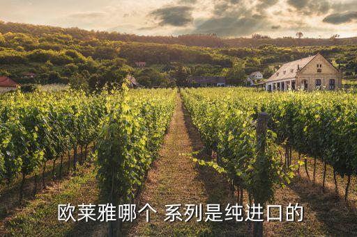  欧莱雅哪个 系列是纯进口的