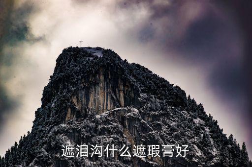 遮泪沟什么遮瑕膏好