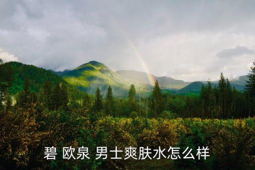 碧 欧泉 男士爽肤水怎么样