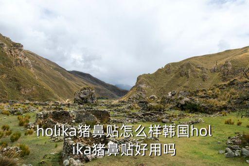 holika猪鼻贴怎么样韩国holika猪鼻贴好用吗