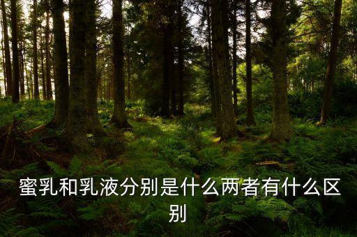  蜜乳和乳液分别是什么两者有什么区别